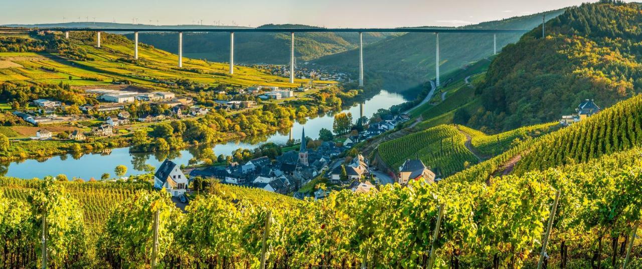Ferienhaus Am Moselsteig Ürzig Dış mekan fotoğraf